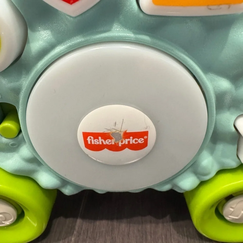 Fisher-Price Linkimals Electronic Learning Hedgehog Pull Toy Infant Toddler Baby
